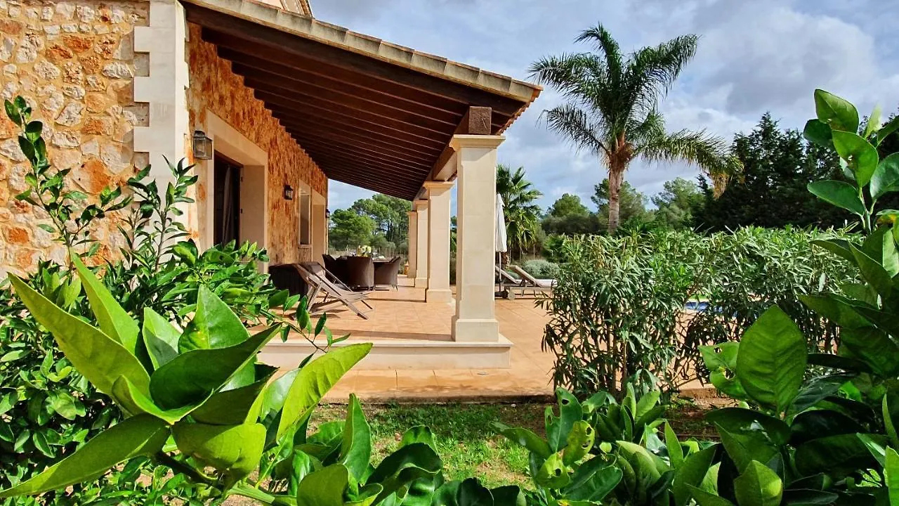 Finca Son Amal 阿尔盖达 西班牙