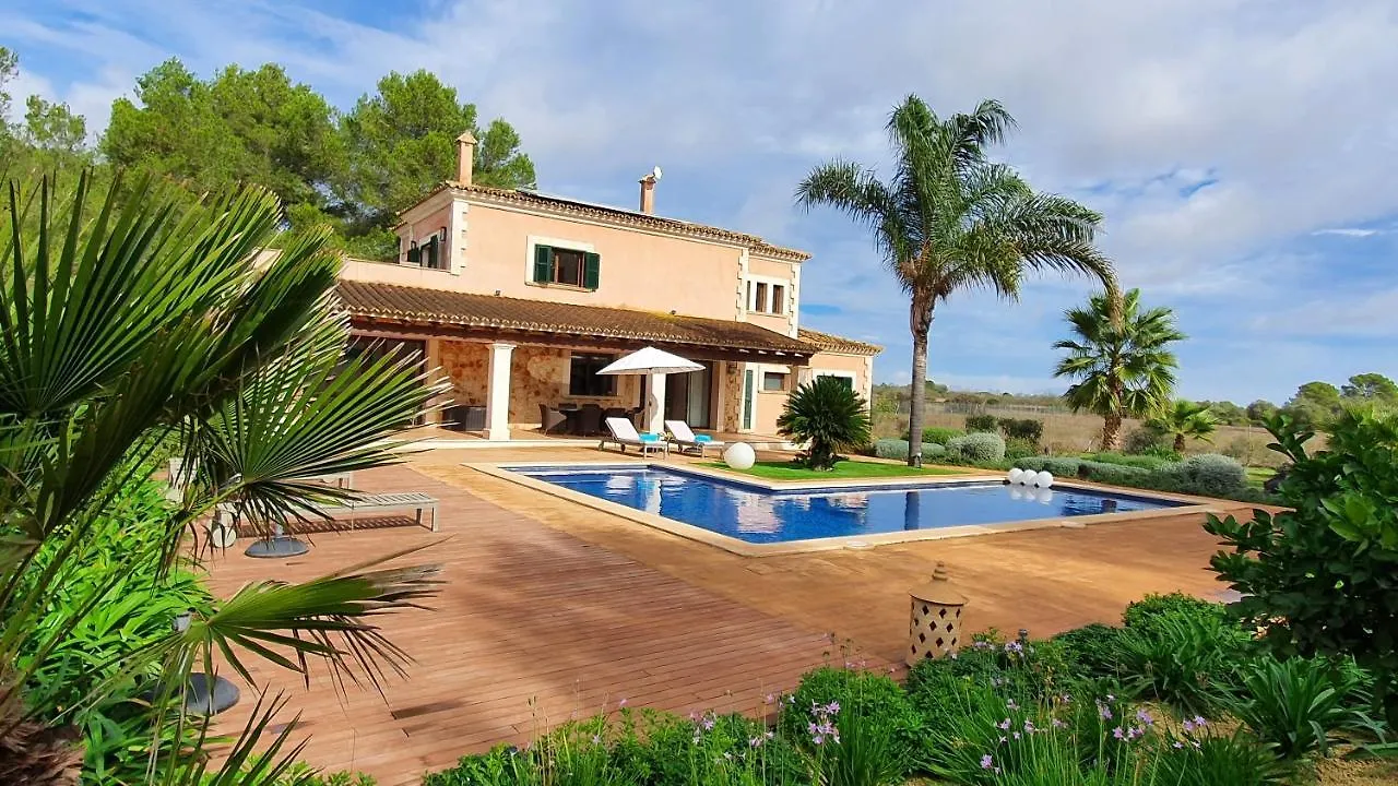 Finca Son Amal Algaida  Сasa de vacaciones Algaida (Mallorca)