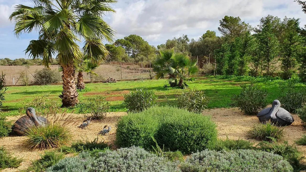 Сasa de vacaciones Finca Son Amal Algaida  España